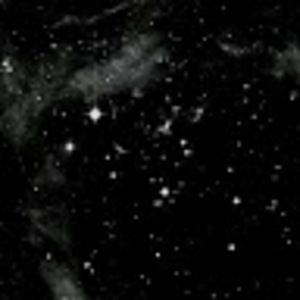 Meet your Posher, Javonte